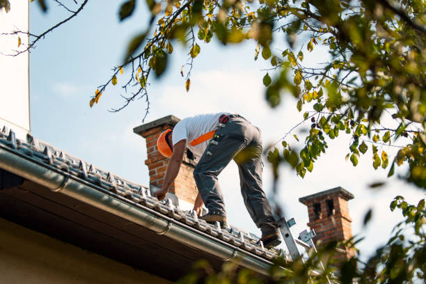 Best Storm Damage Roof Repair  in Dawson, TX